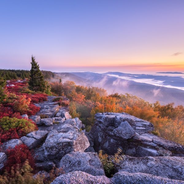 Twilight begins to break and the early sun glows below the horizon as the fog lifts above the distant mountains as viewed from the top of Bear Rocks Preserve, West Virginia in Autumn.
